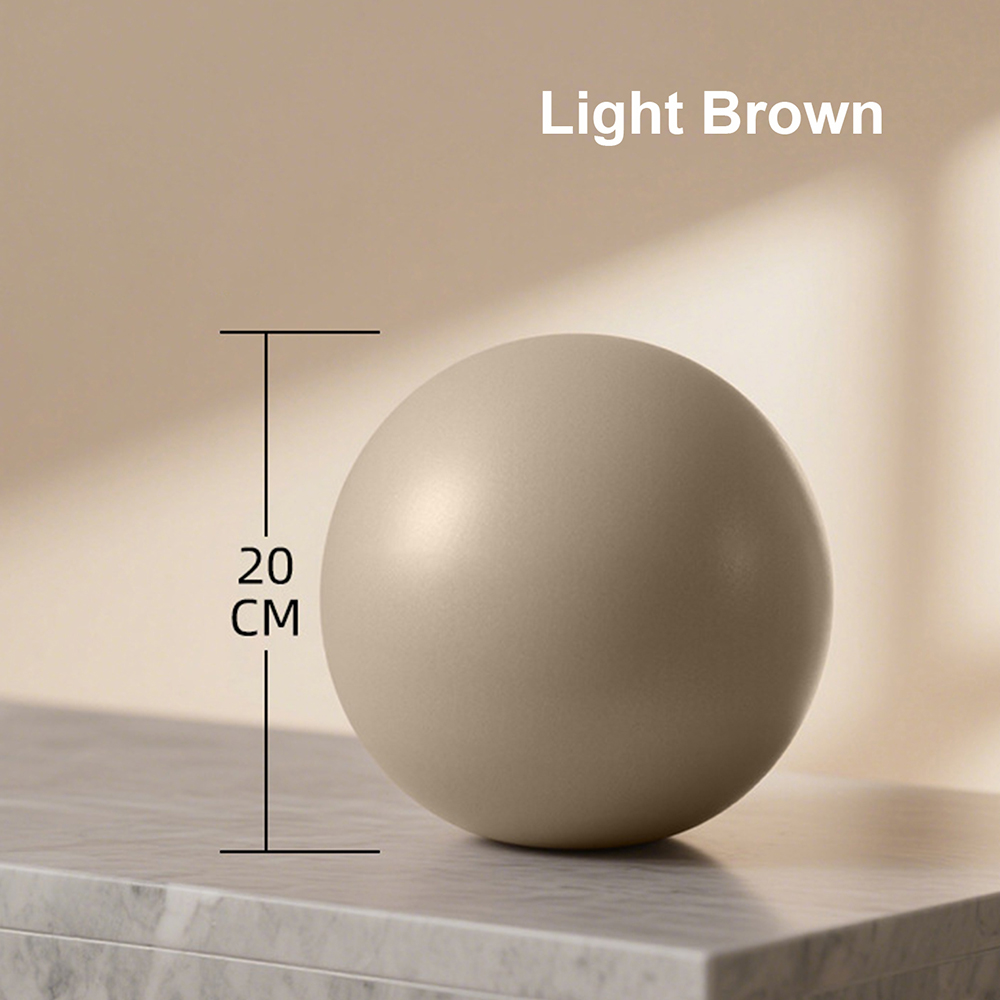 20cm Matte Exercise Ball Barre - Pilates Yoga Barre 评论和价格